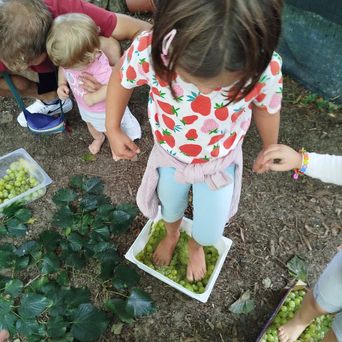 I nidi e le scuole dell’infanzia: record di presenze e nuovi progetti educativi