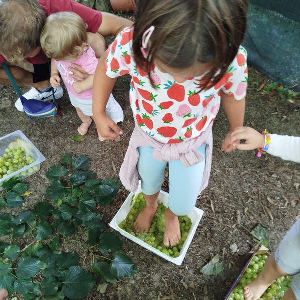 I nidi e le scuole dell’infanzia: record di presenze e...